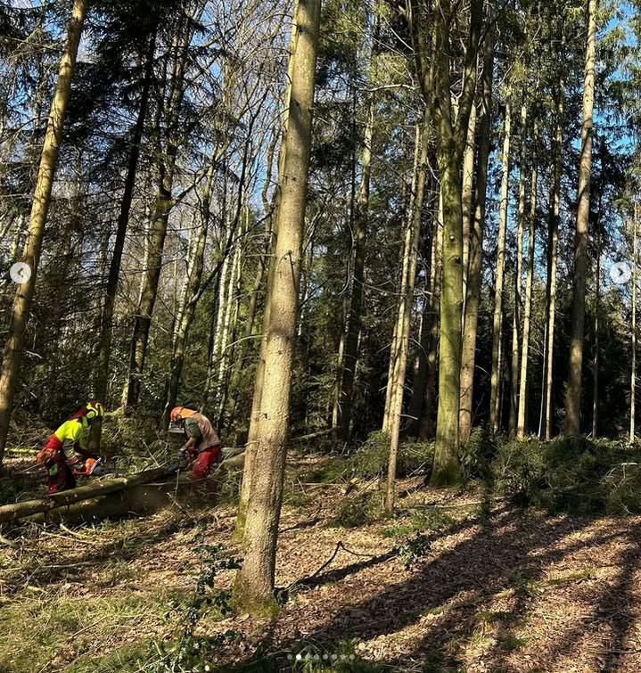 Forstbetrieb Oberberg – Thomas Adolphs bei der Arbeit